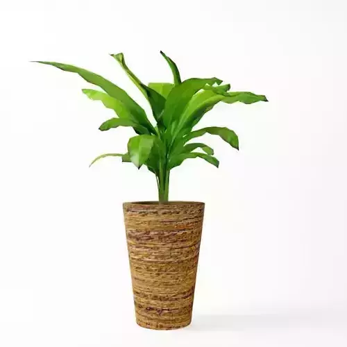 Decorative Plant Pot