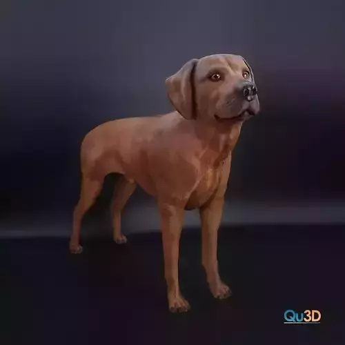 Rhodesian Ridgeback- full body-High-end 3D print model highpoly