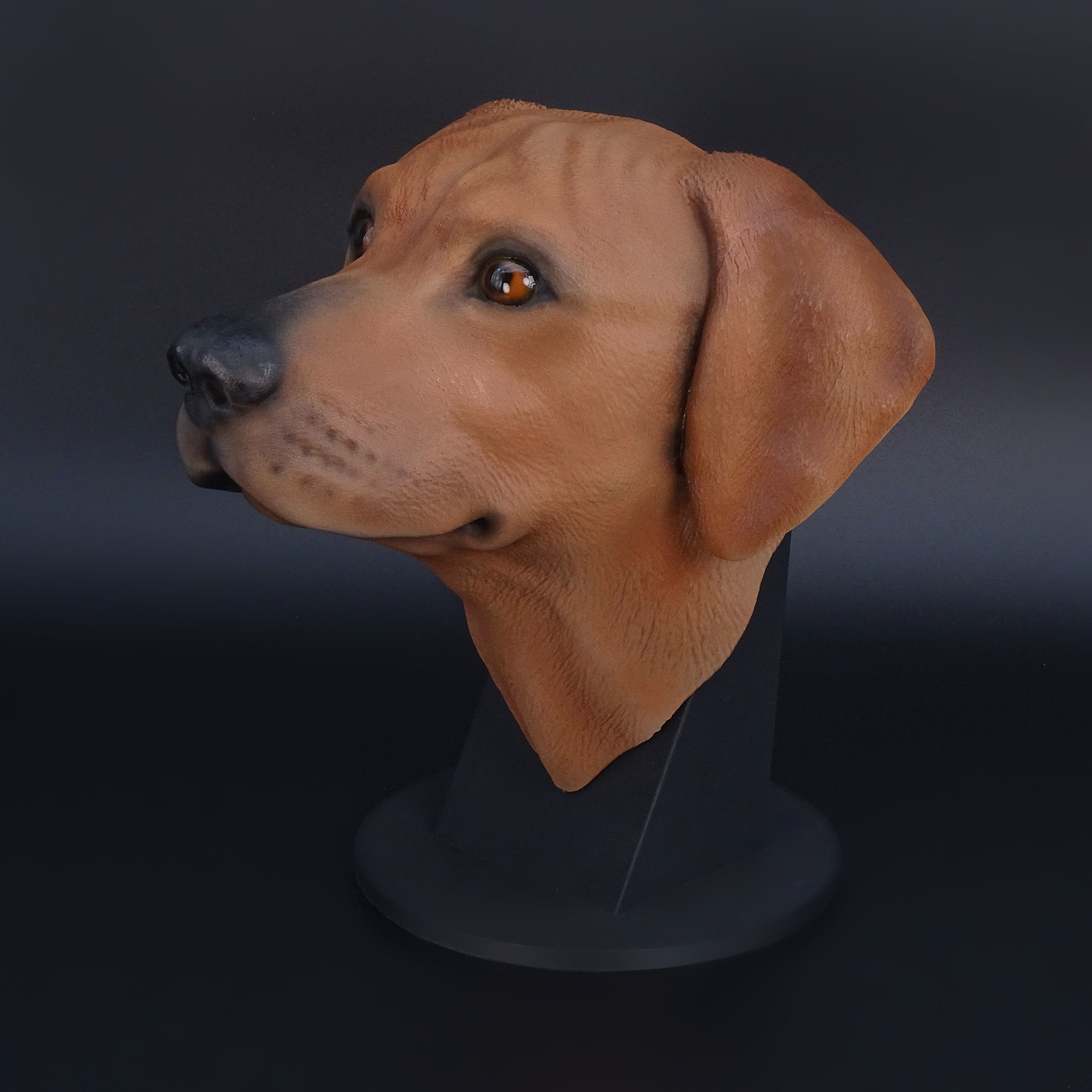 Rhodesian-Ridgeback- Head- High-end 3D print- High Poly Model 3D print model_1