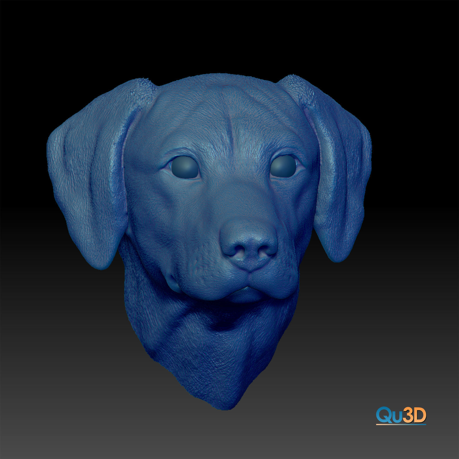 Rhodesian-Ridgeback- Head- High-end 3D print- High Poly Model 3D print model_2