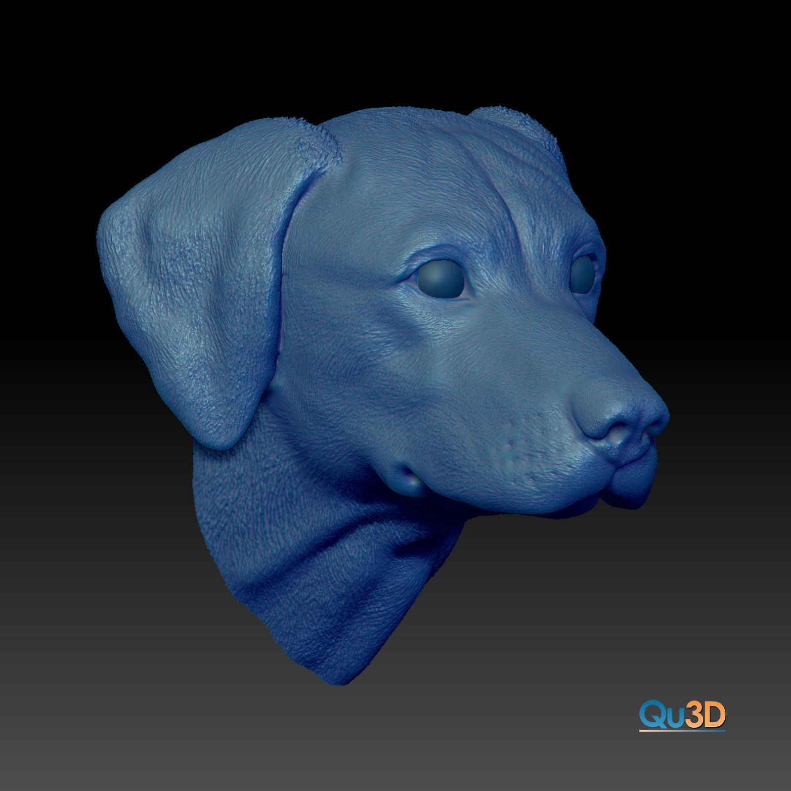Rhodesian-Ridgeback- Head- High-end 3D print- High Poly Model 3D print model_4