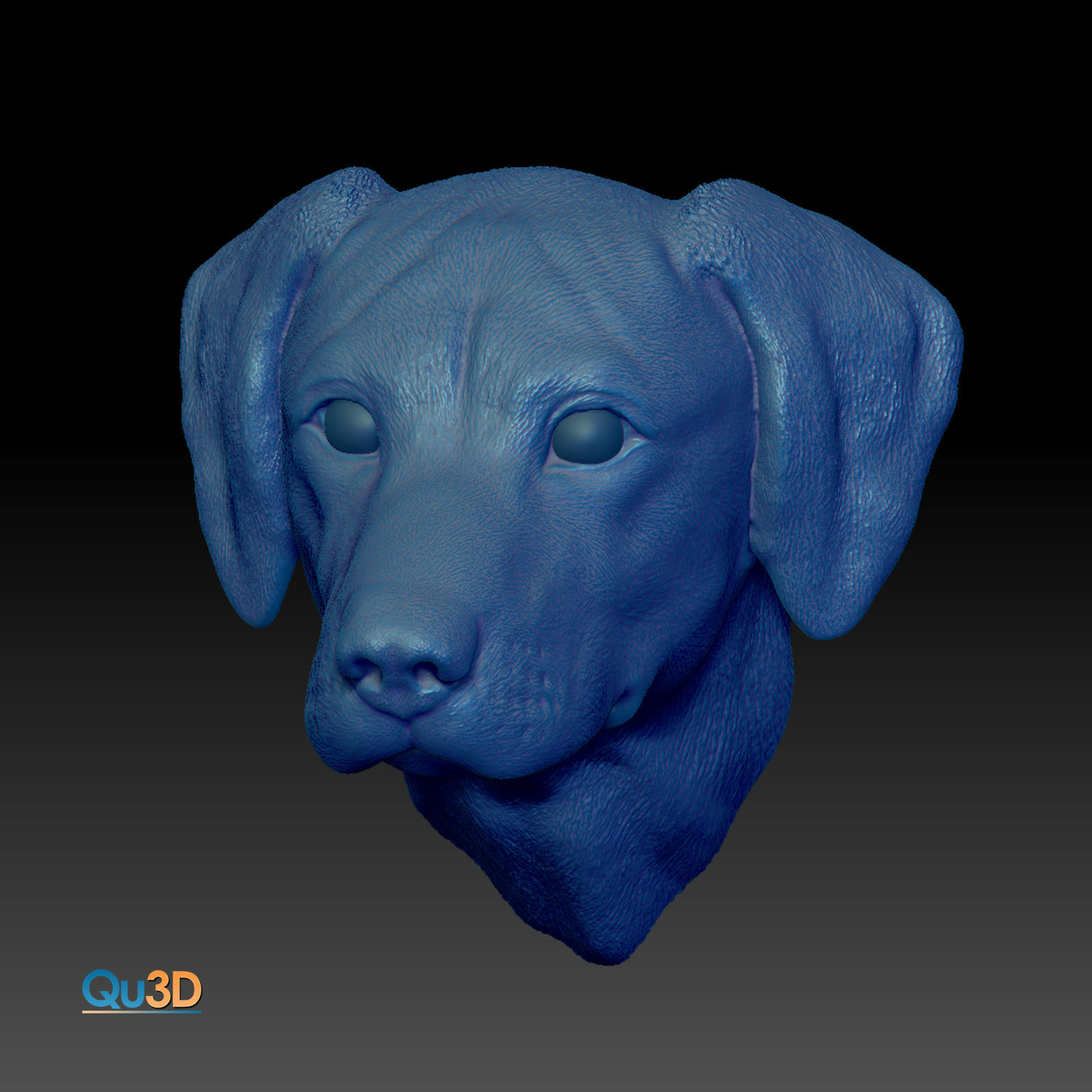Rhodesian-Ridgeback- Head- High-end 3D print- High Poly Model 3D print model_3