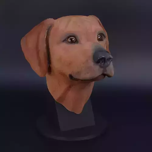 Rhodesian-Ridgeback- Head- High-end 3D print-  High Poly Model