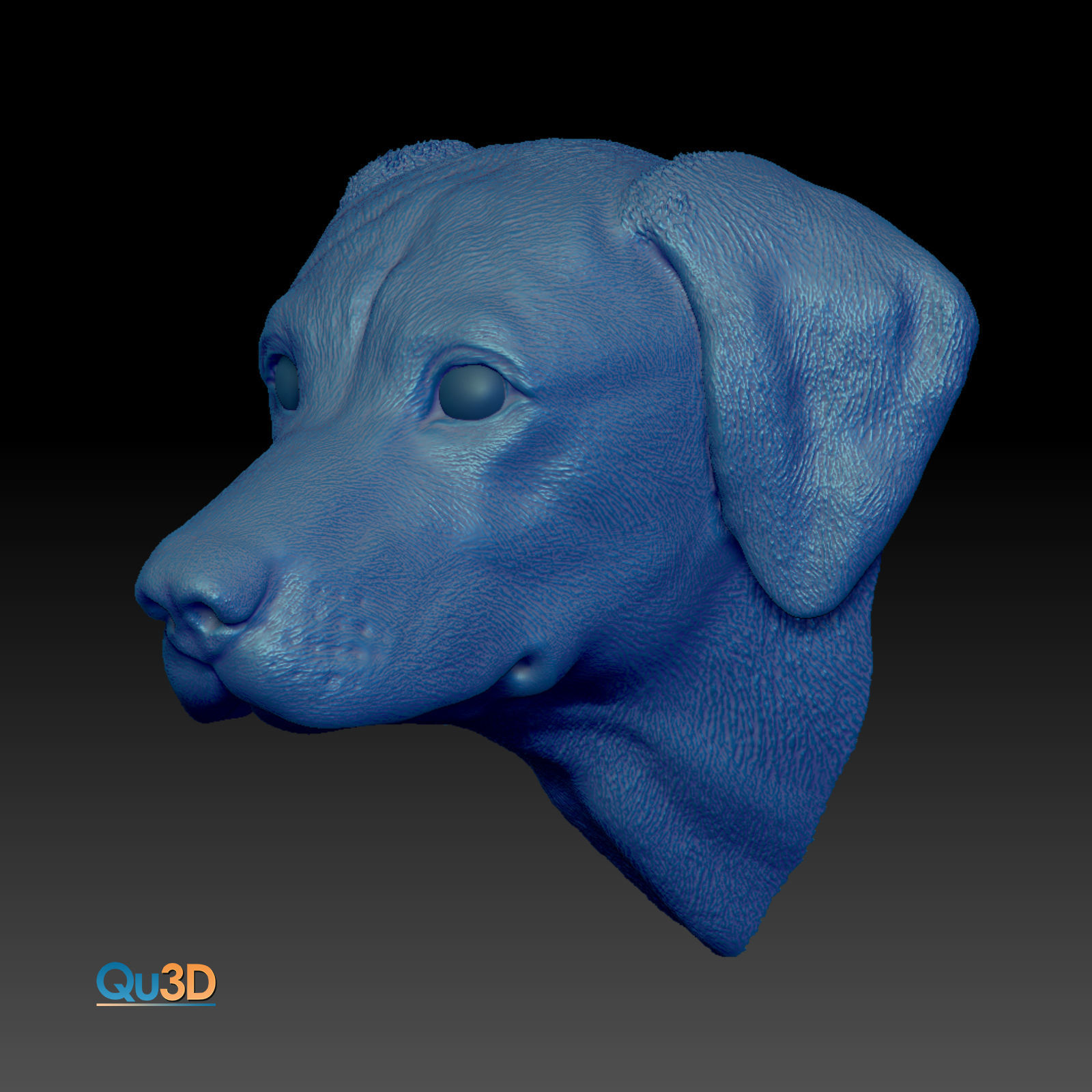 Rhodesian-Ridgeback- Head- High-end 3D print- High Poly Model 3D print model_5