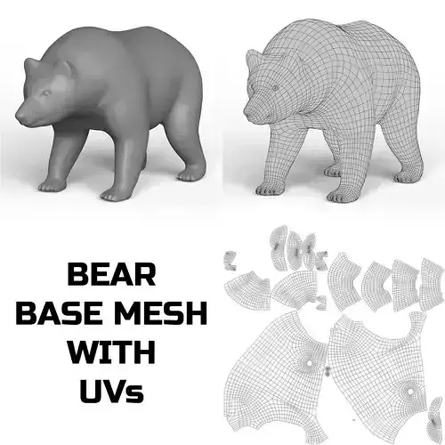 Bear Base Mesh