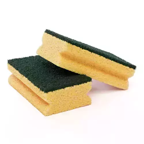 Dish Sponge