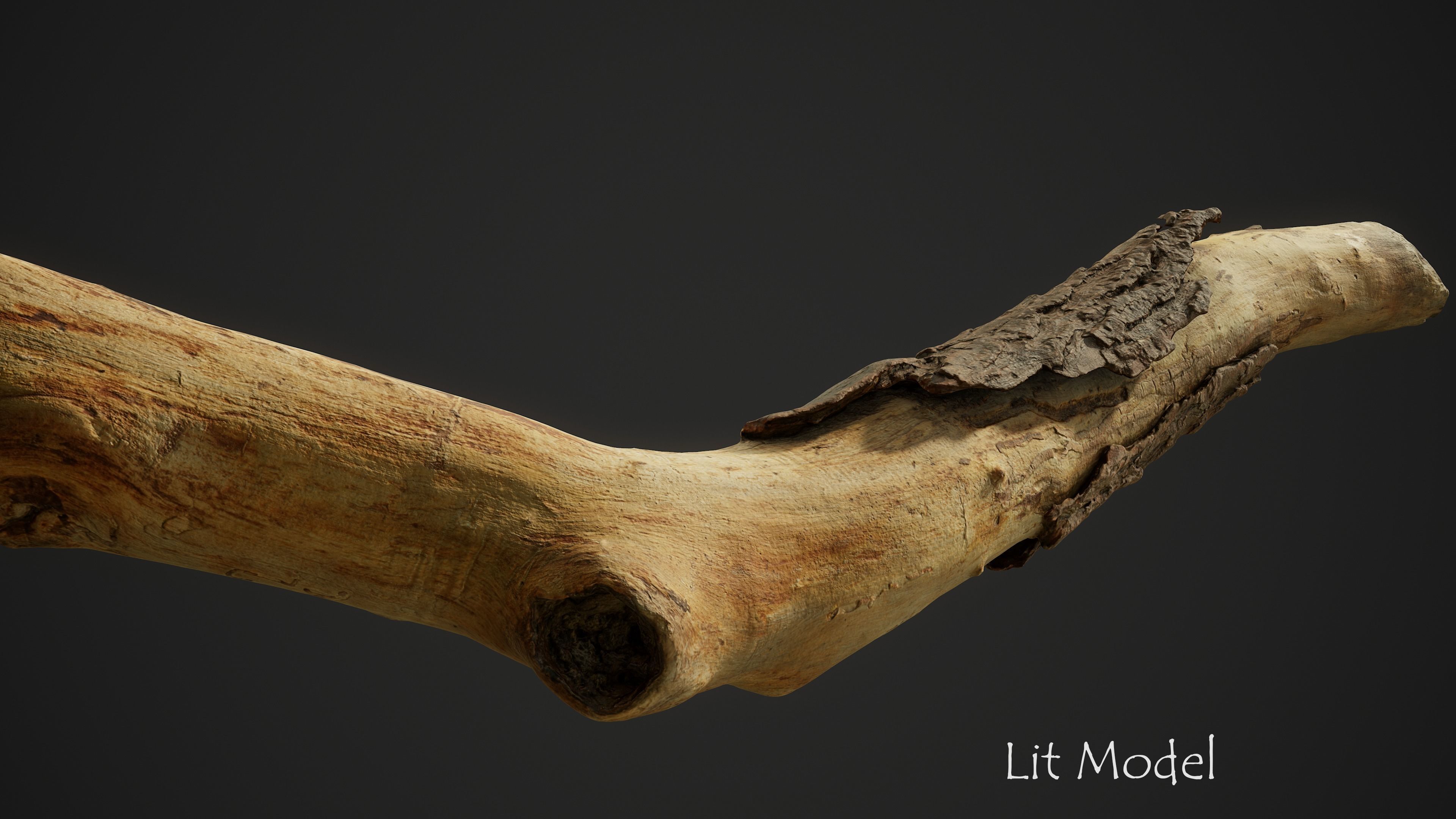 Broken Pine Branch 01 Low-poly 3D model_4