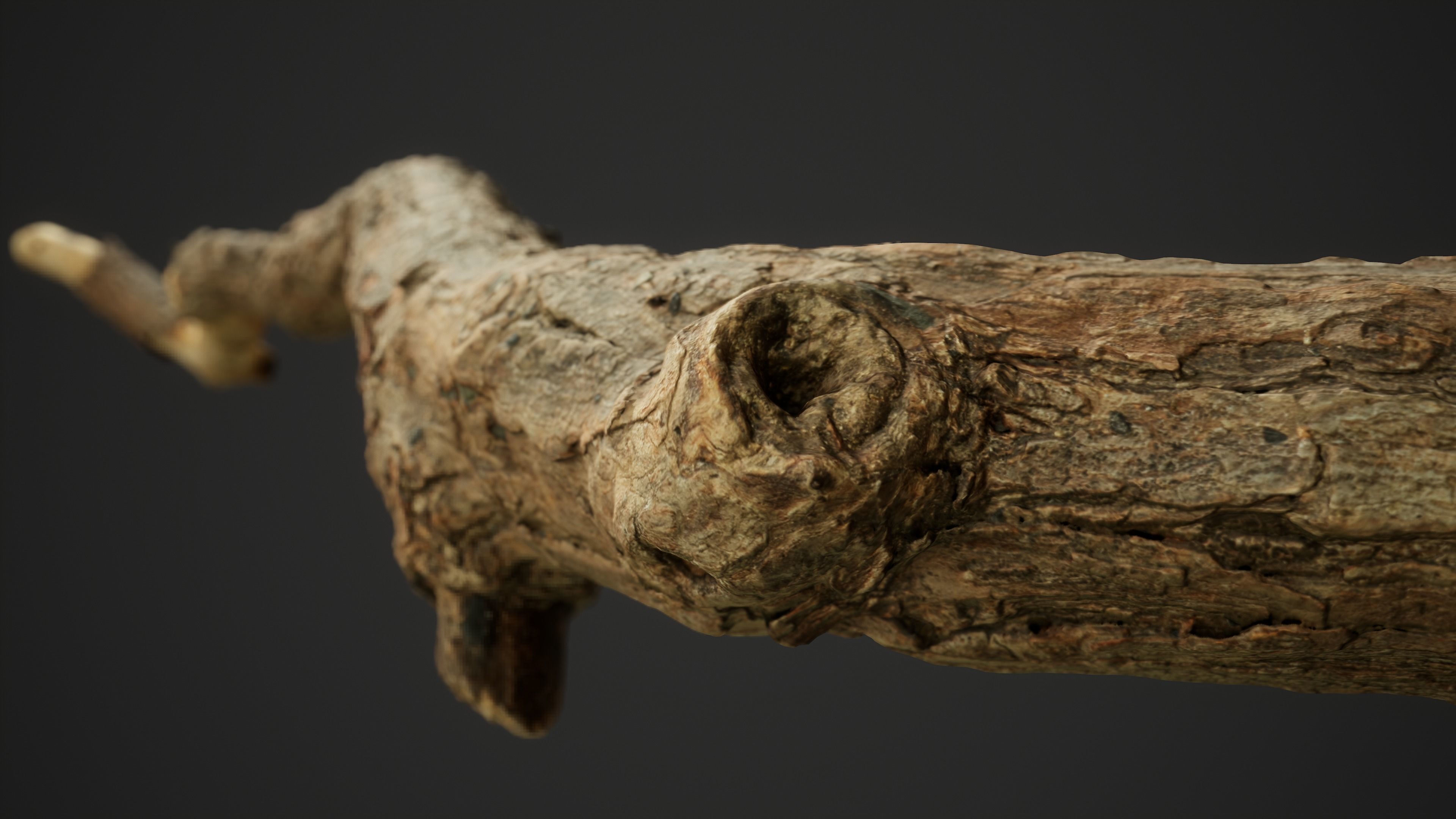 Broken Pine Branch 01 Low-poly 3D model_7