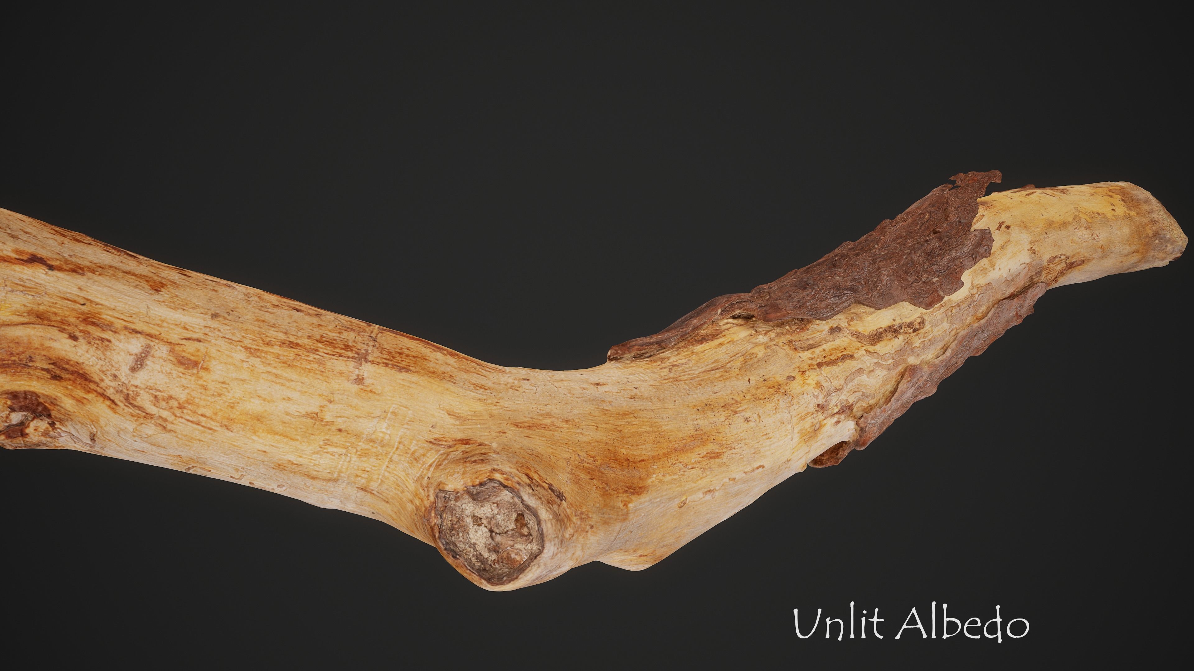 Broken Pine Branch 01 Low-poly 3D model_5