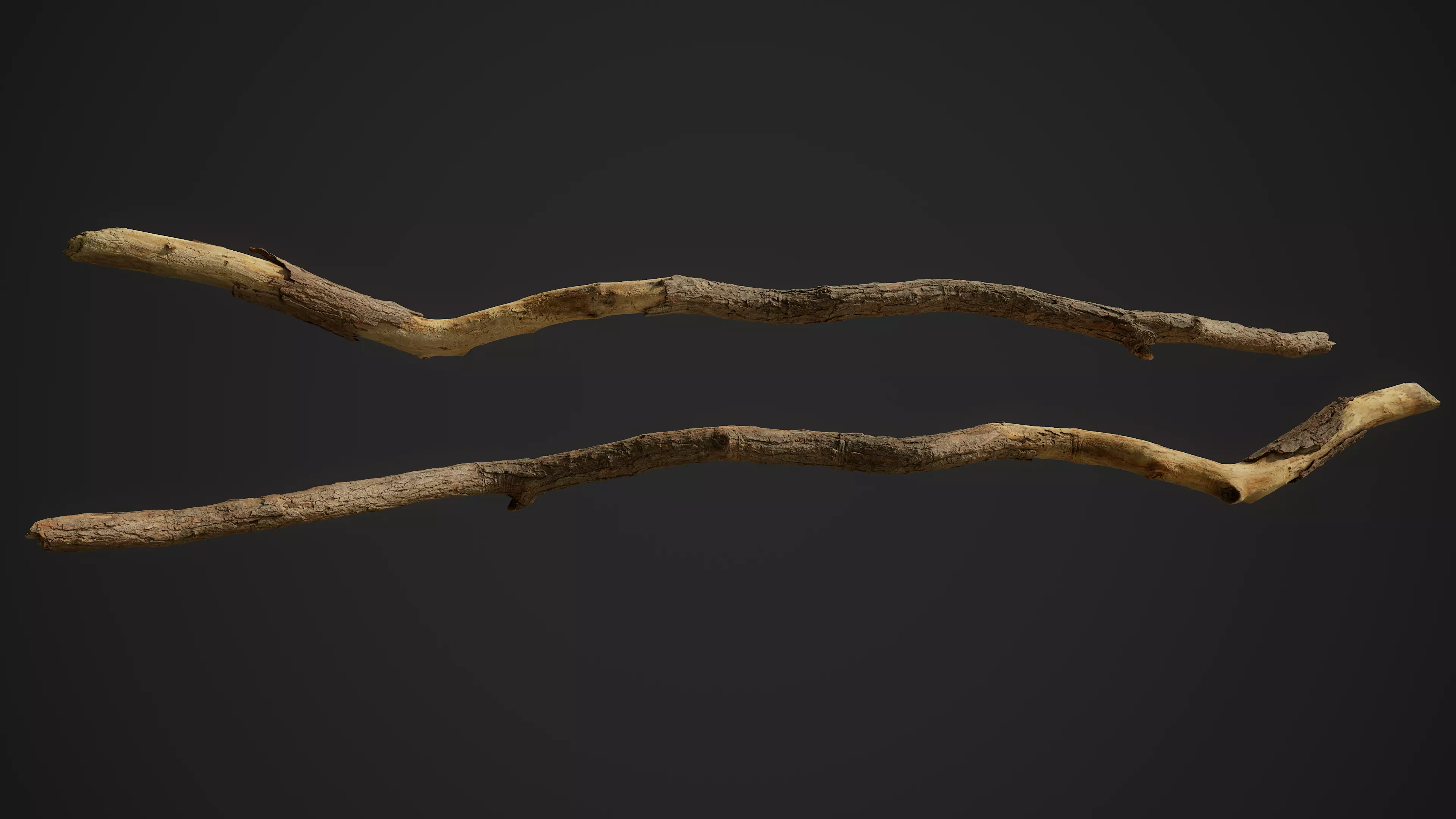Broken Pine Branch 01 Low-poly 3D model_0