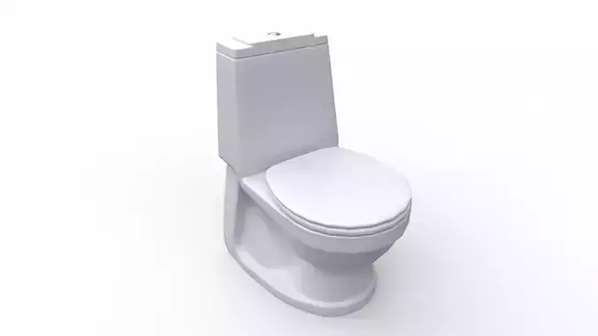 Wc Toilet