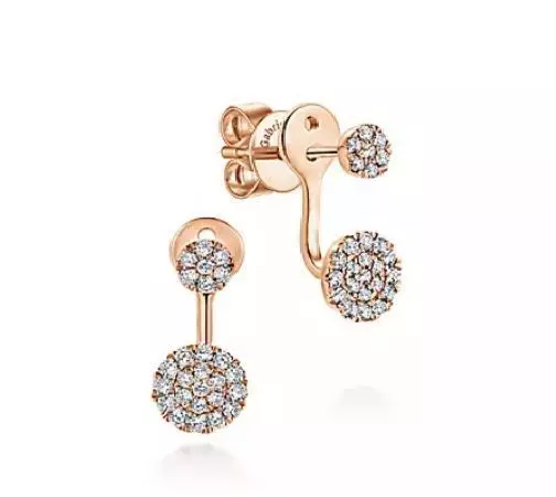 CG342 pair of sterling silver earrings with diamonds 3D print model_0