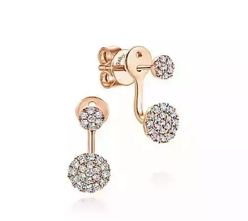 CG342 pair of sterling silver earrings with diamonds 3D print model
