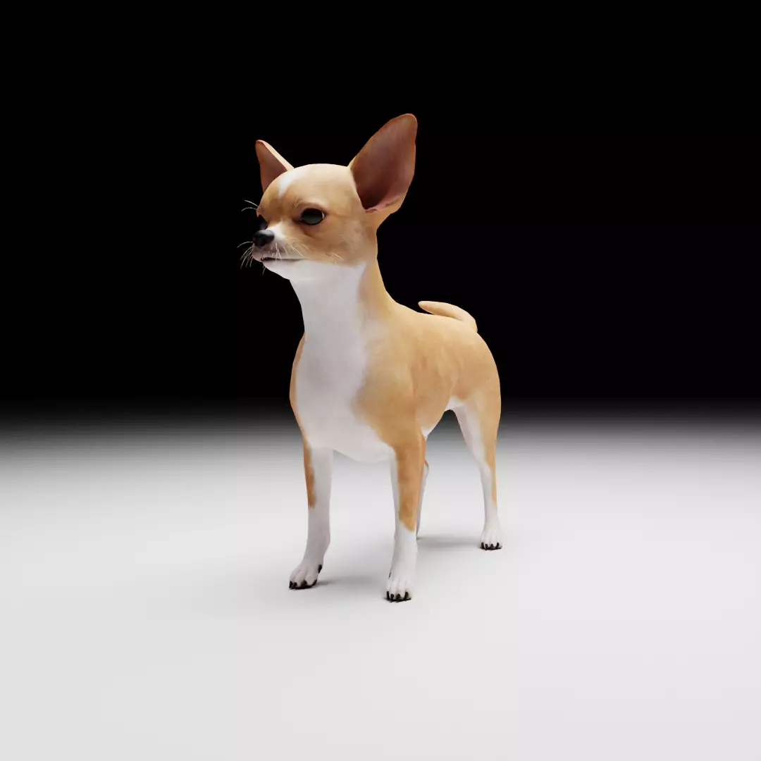 CHIHUAHUA FLEX 3D model_0