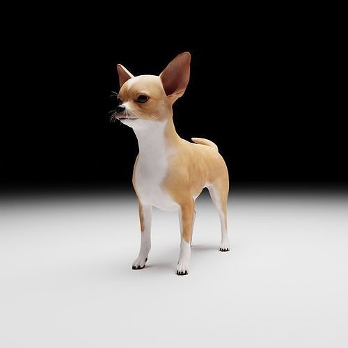 CHIHUAHUA FLEX 3D model
