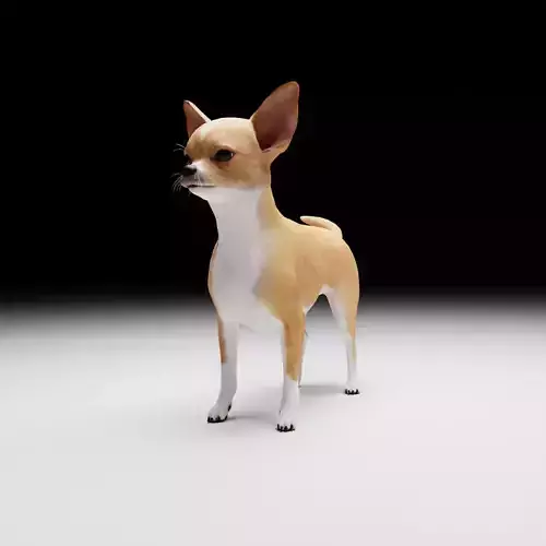 CHIHUAHUA FLEX 3D model