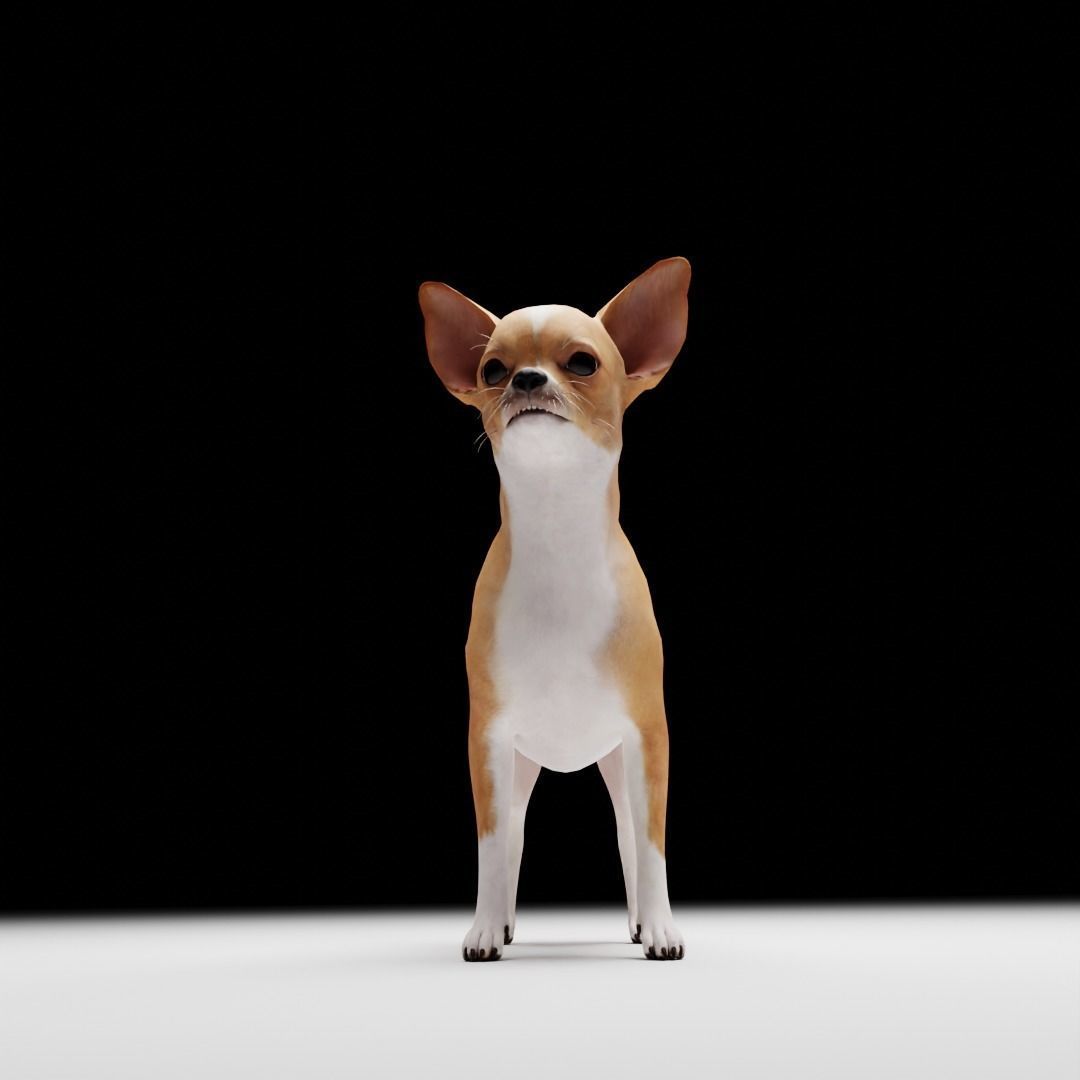 CHIHUAHUA FLEX 3D model_1