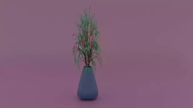 Vase with Plant