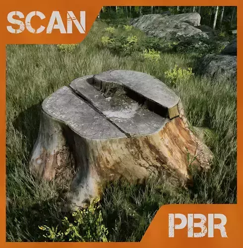 Stumps PBR