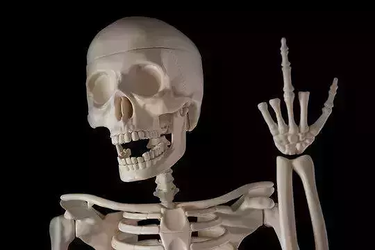 skeletons skeleton making hand gesture