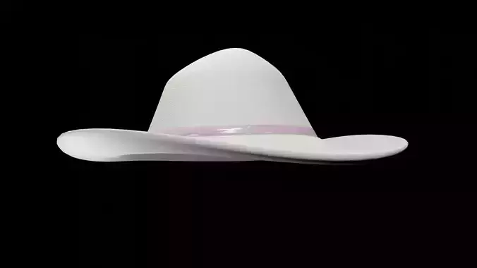 HAT STYLE 3D model
