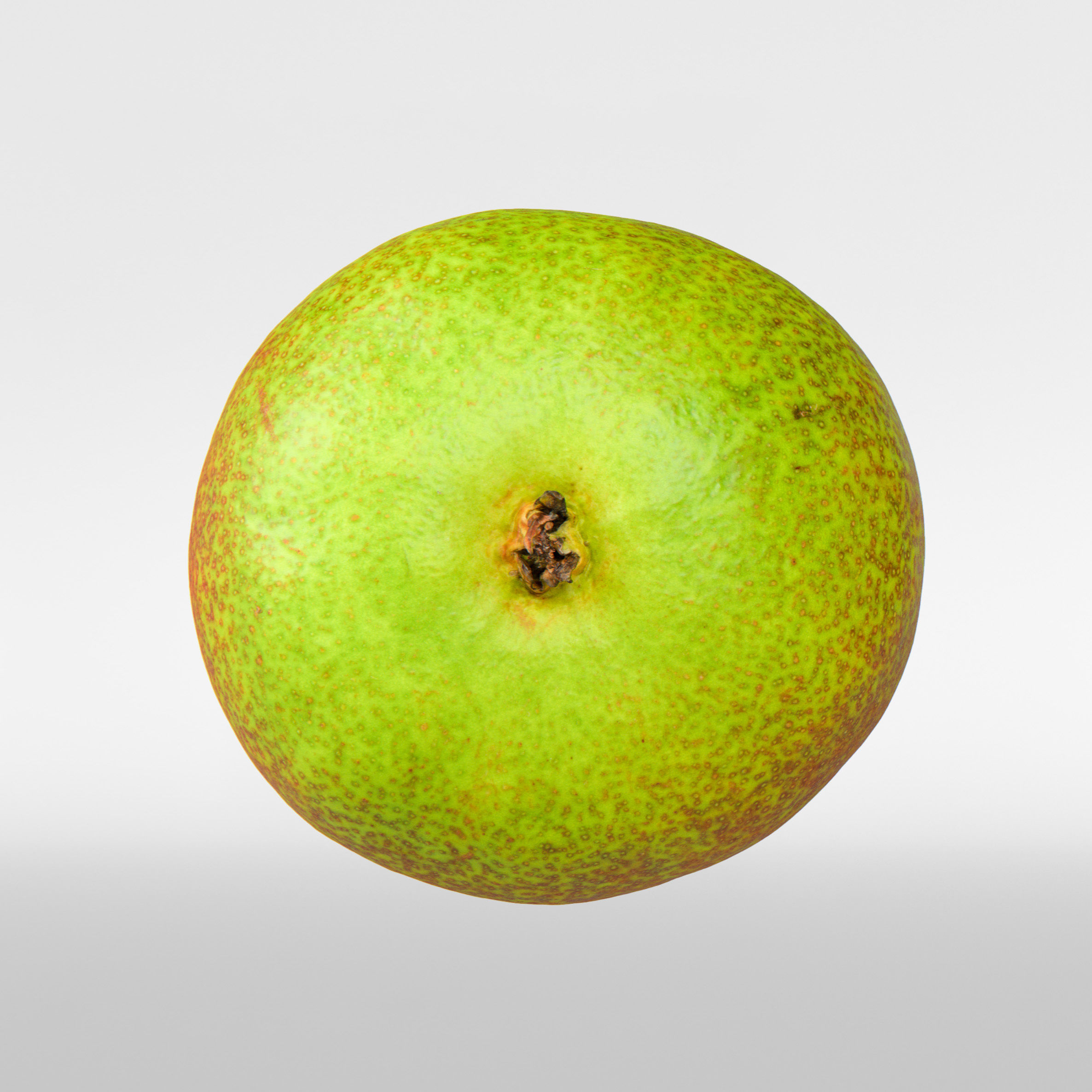 Pear  3D model_6