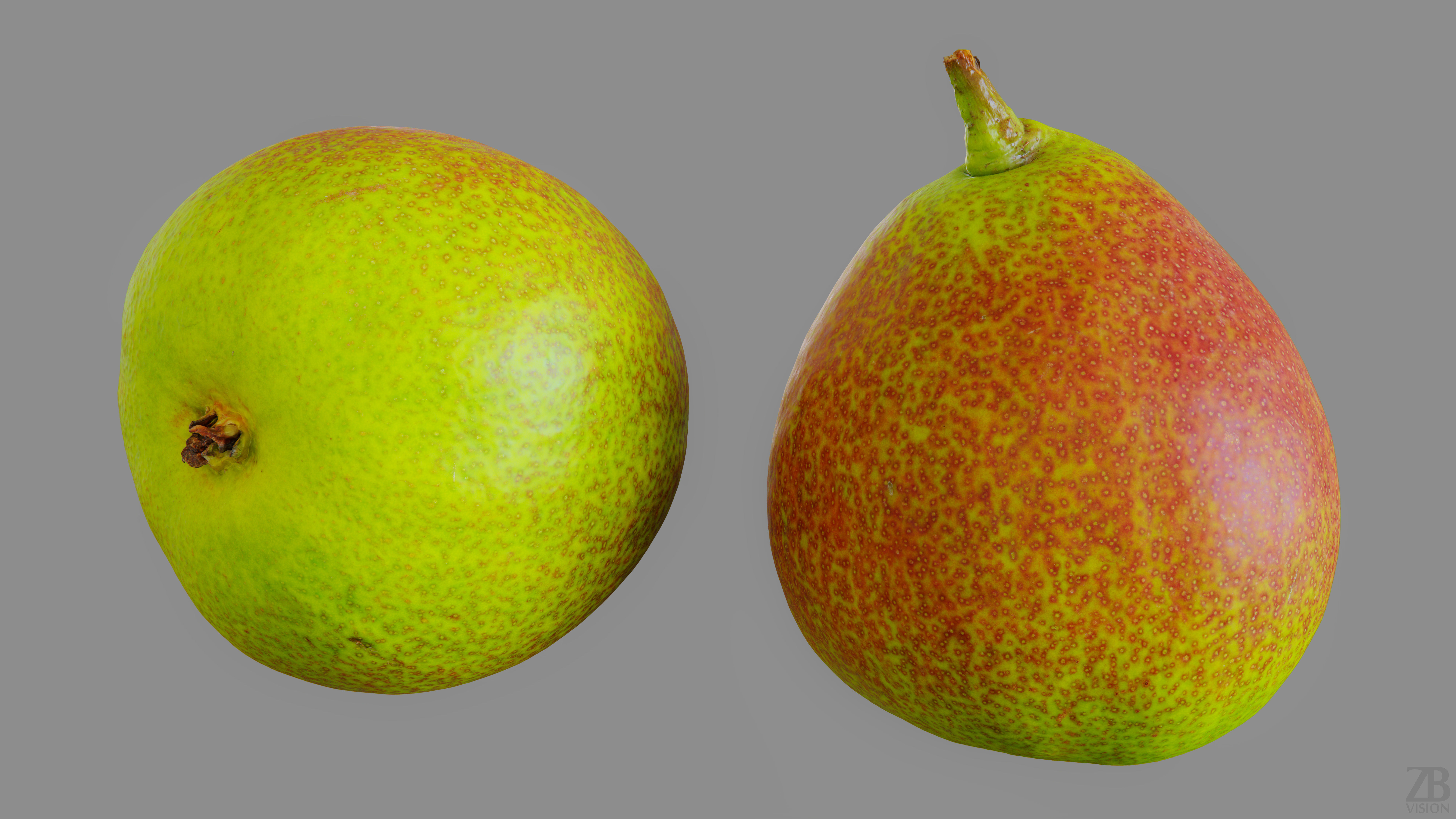 Pear  3D model_12