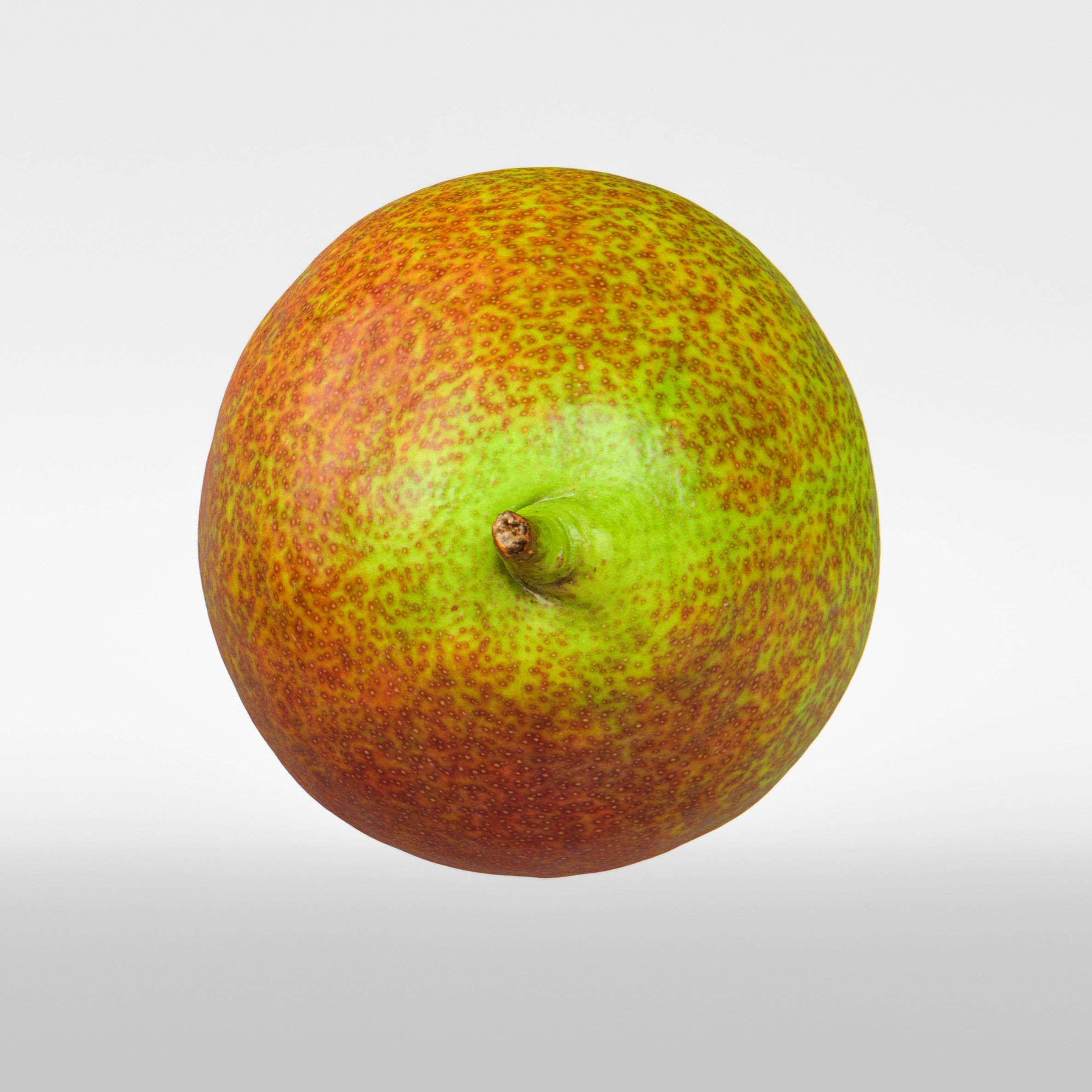Pear  3D model_7
