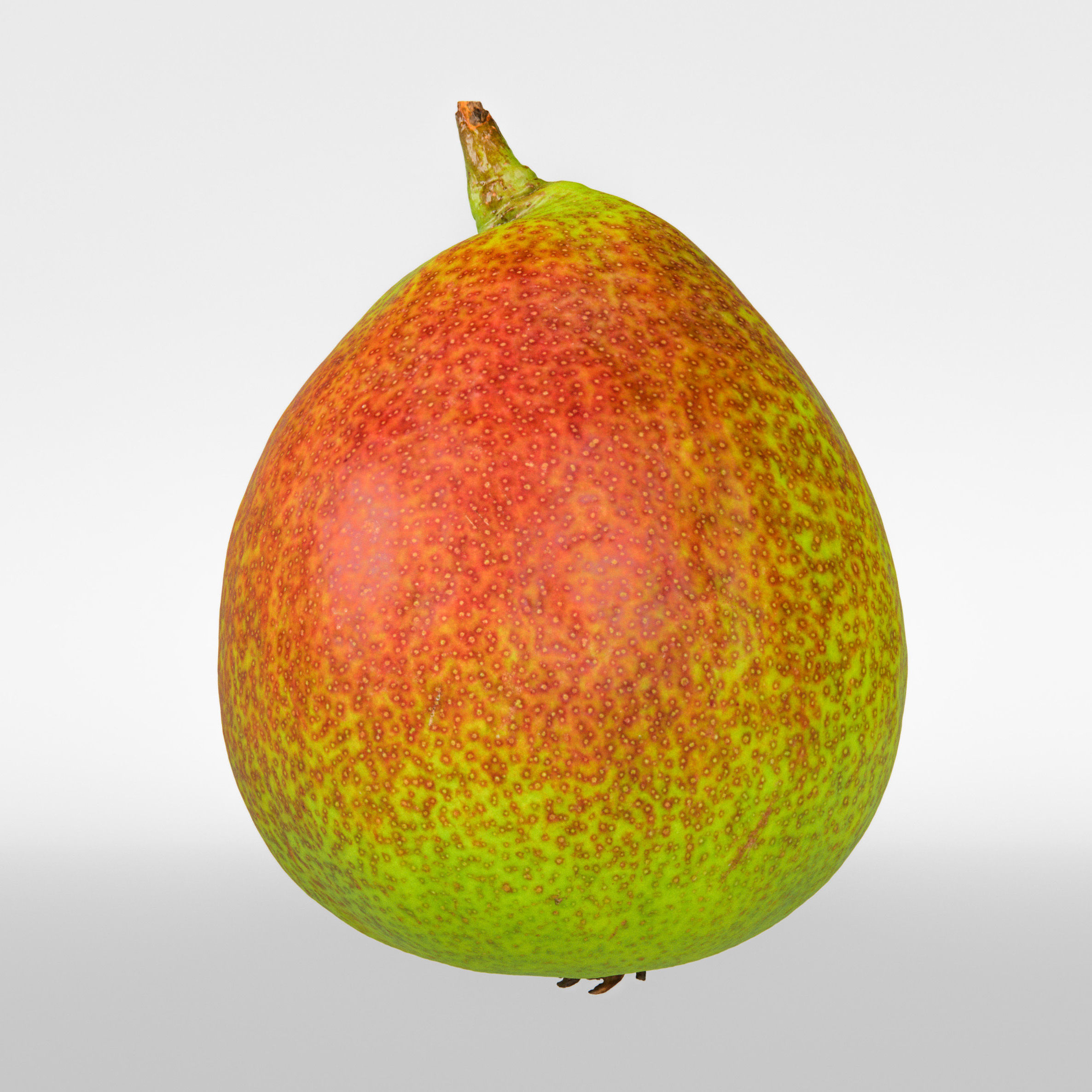 Pear  3D model_5