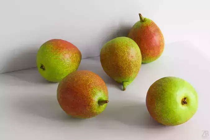 Pear  3D model