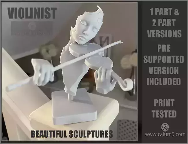 The Violinist  3D print model
