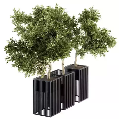 Outdoor Plants tree in Metal Pot - Set 134