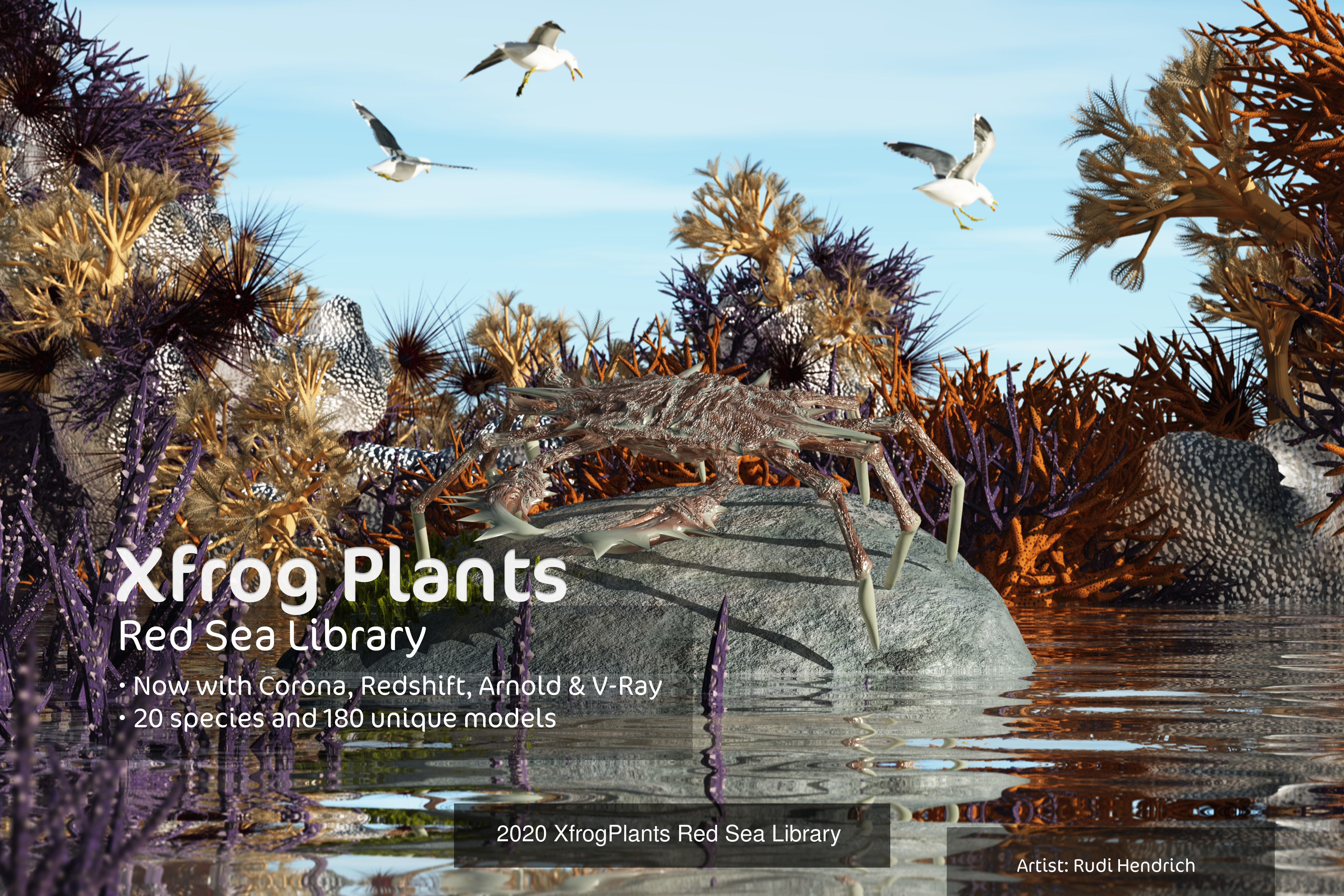 XfrogPlants Bundle 3D Model Collection_30