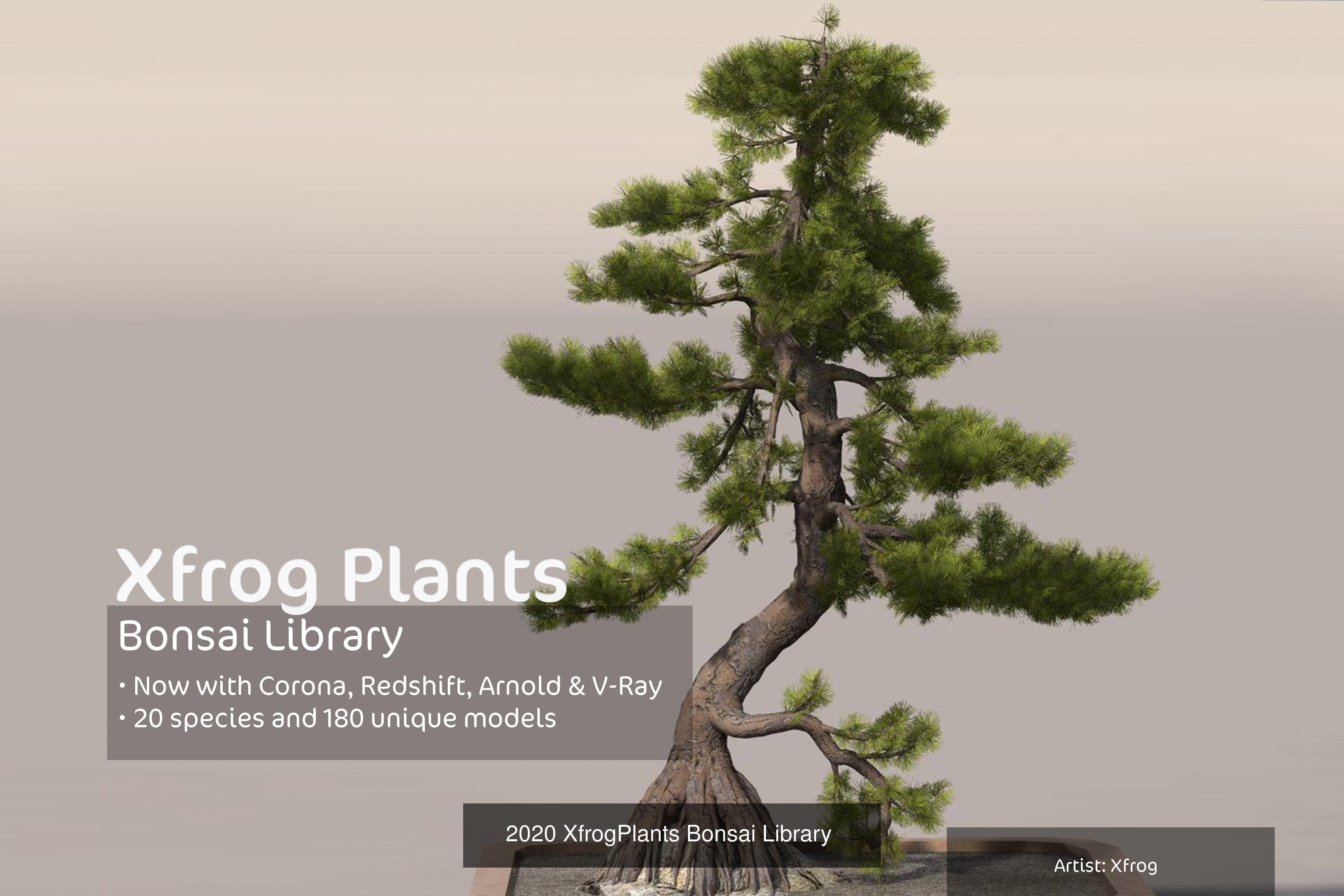 XfrogPlants Bundle 3D Model Collection_13
