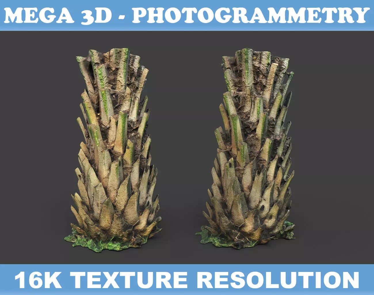 Low poly Oil Palm Trunk 01 - Photogrammetry Low-poly 3D model