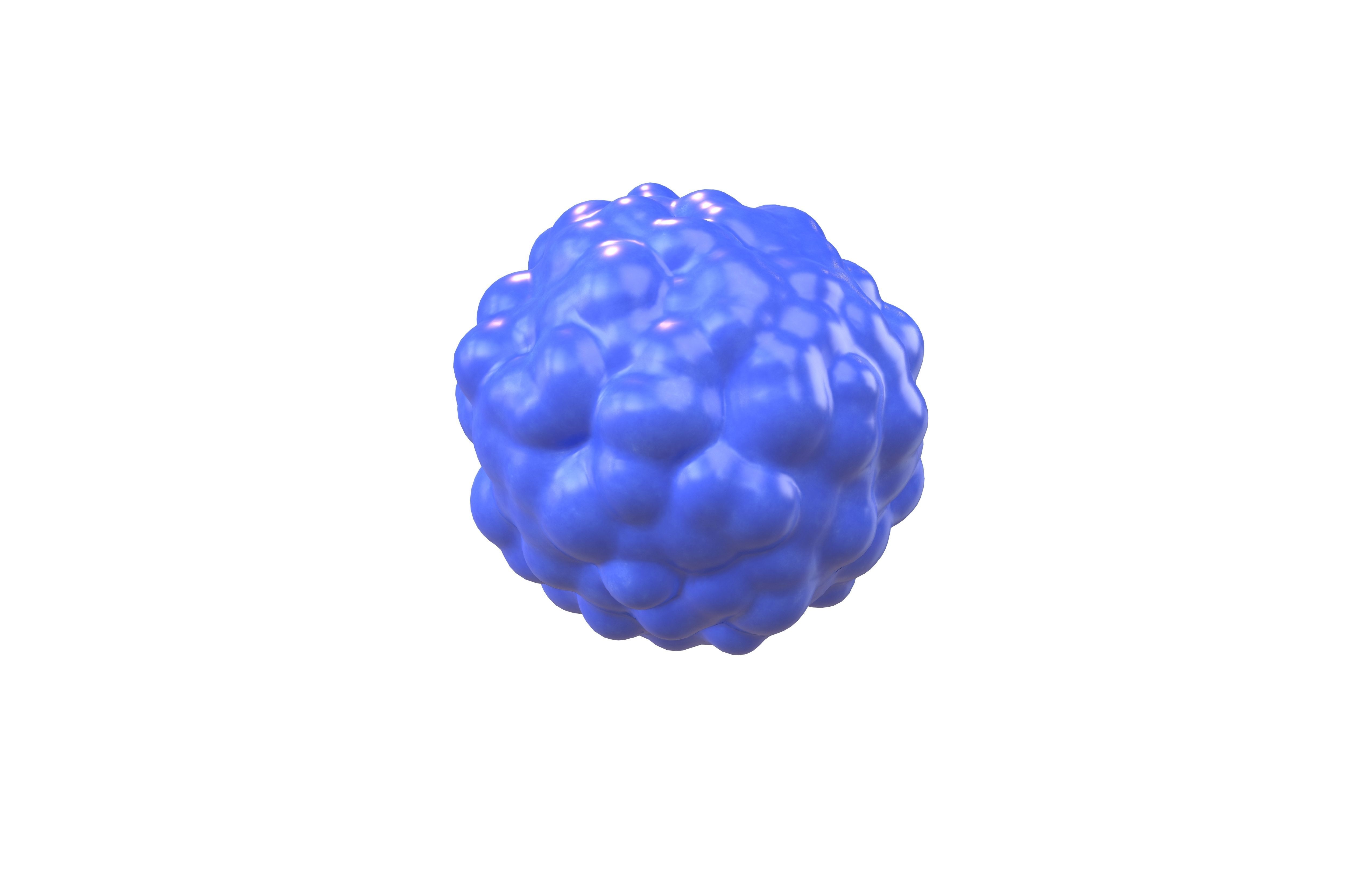 Cell v1 005 Low-poly 3D model_3