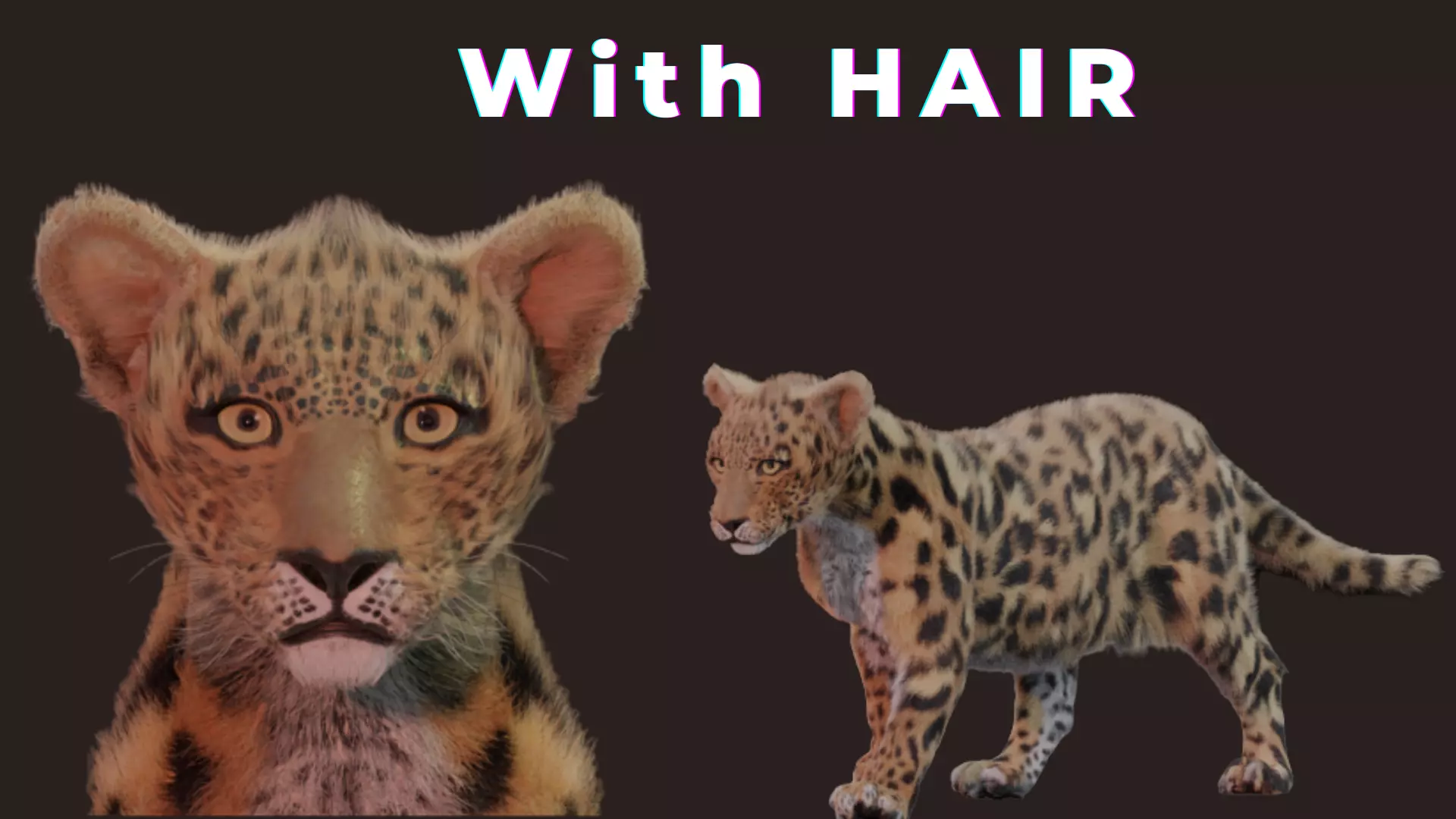 Jaguar leopard puma Panthera Onca with Fur 3D model_0