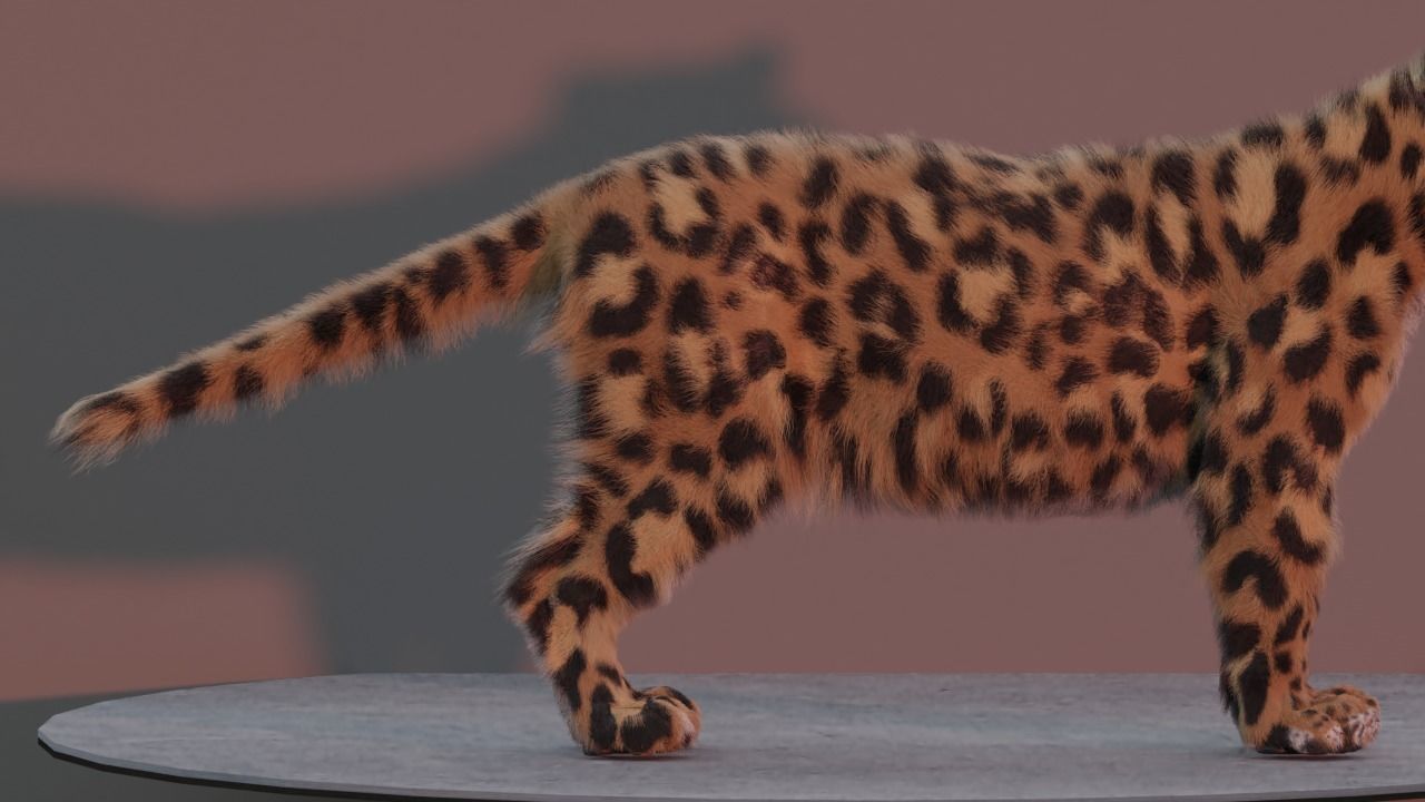 Jaguar leopard puma Panthera Onca with Fur 3D model_3