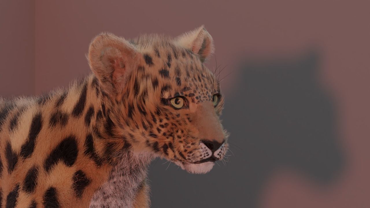 Jaguar leopard puma Panthera Onca with Fur 3D model_2