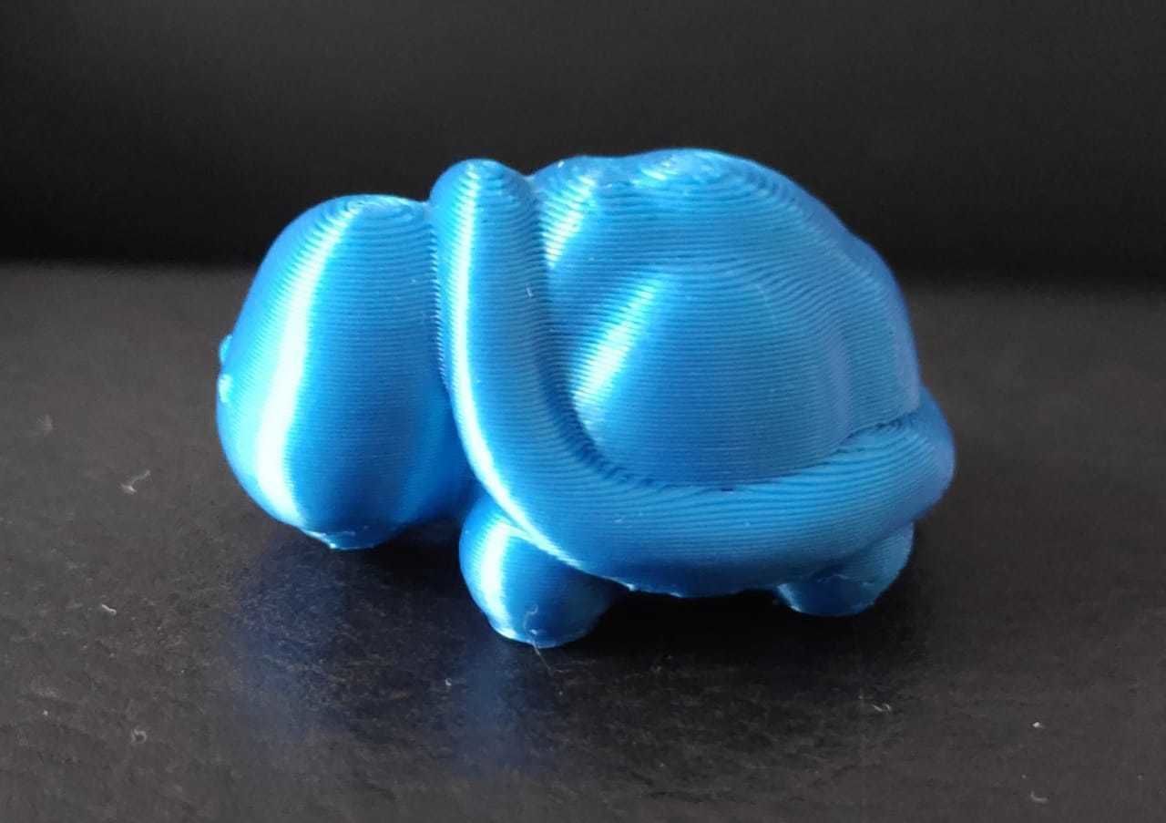 Little Turtle 3D print model_5
