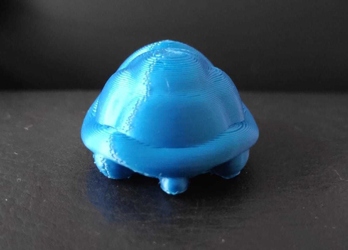Little Turtle 3D print model_6