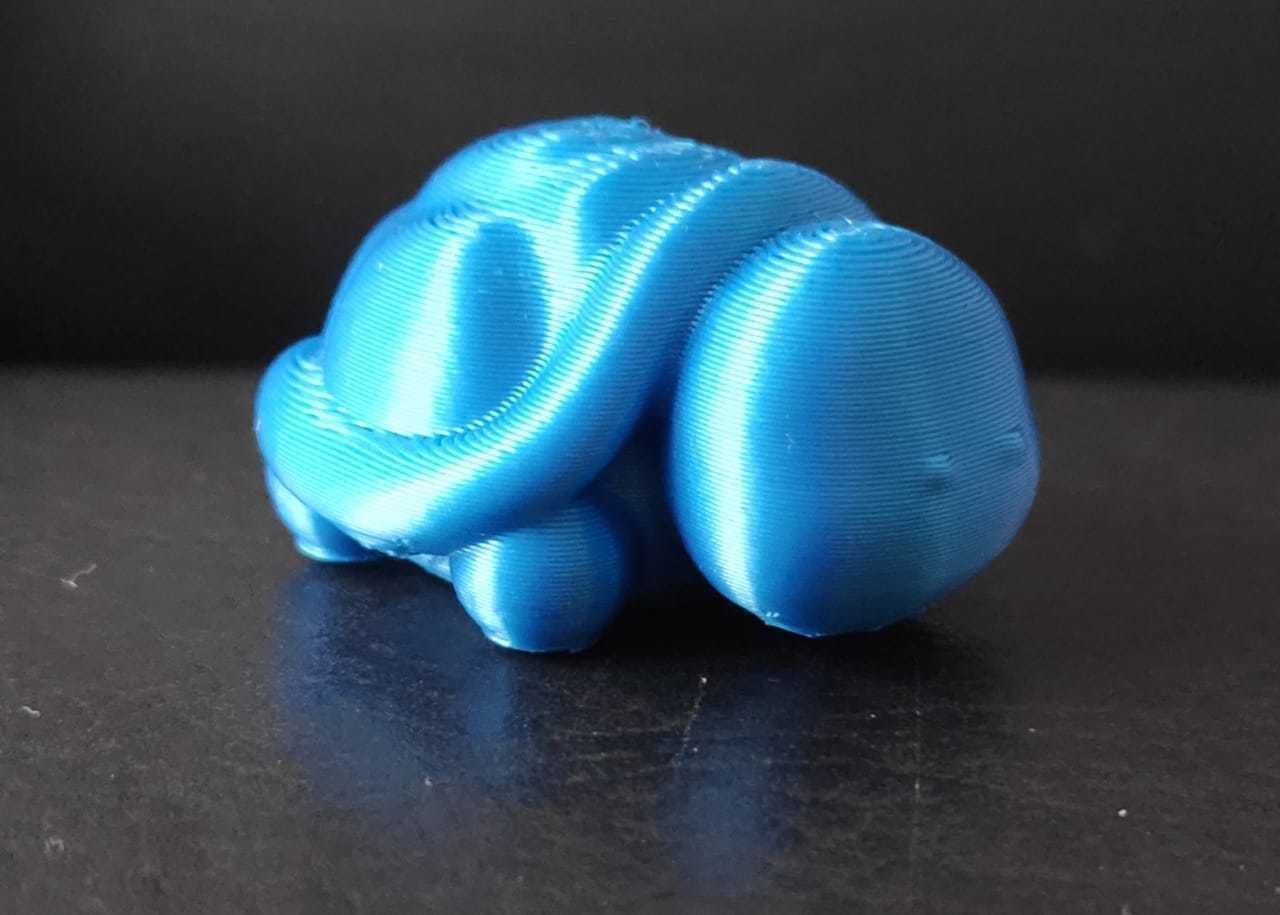 Little Turtle 3D print model_9
