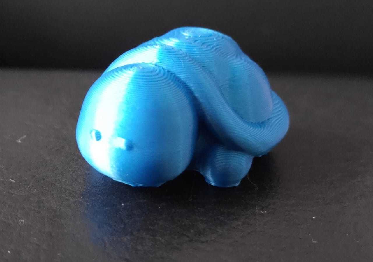 Little Turtle 3D print model_11