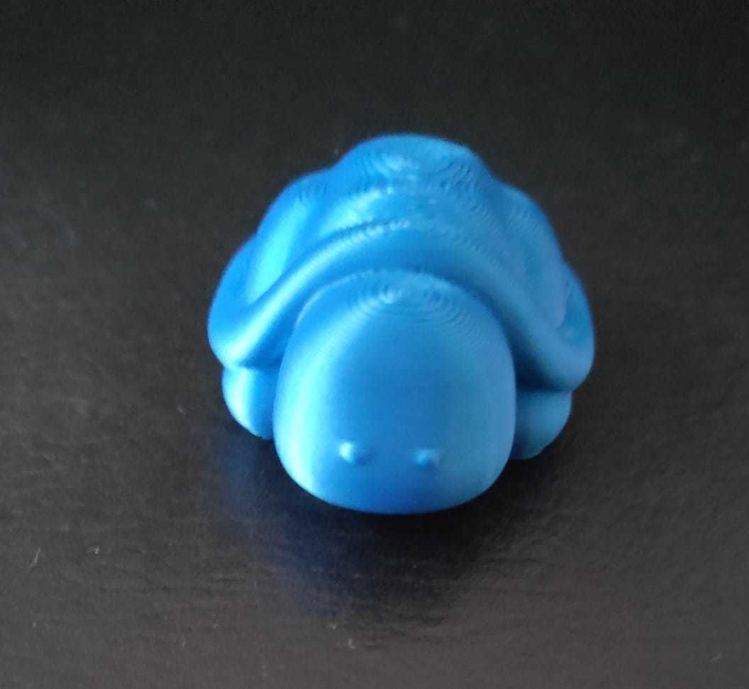 Little Turtle 3D print model_12