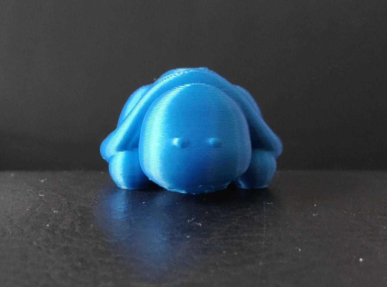 Little Turtle 3D print model_4