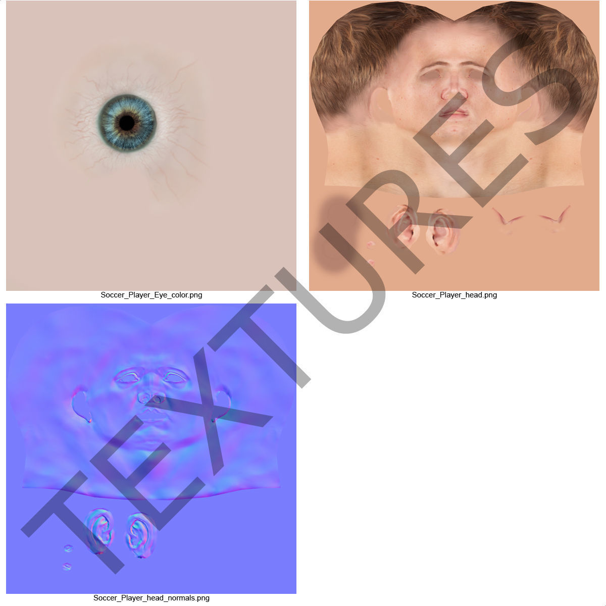 Soccer Player Generic Rigged for Maya 3D model_48