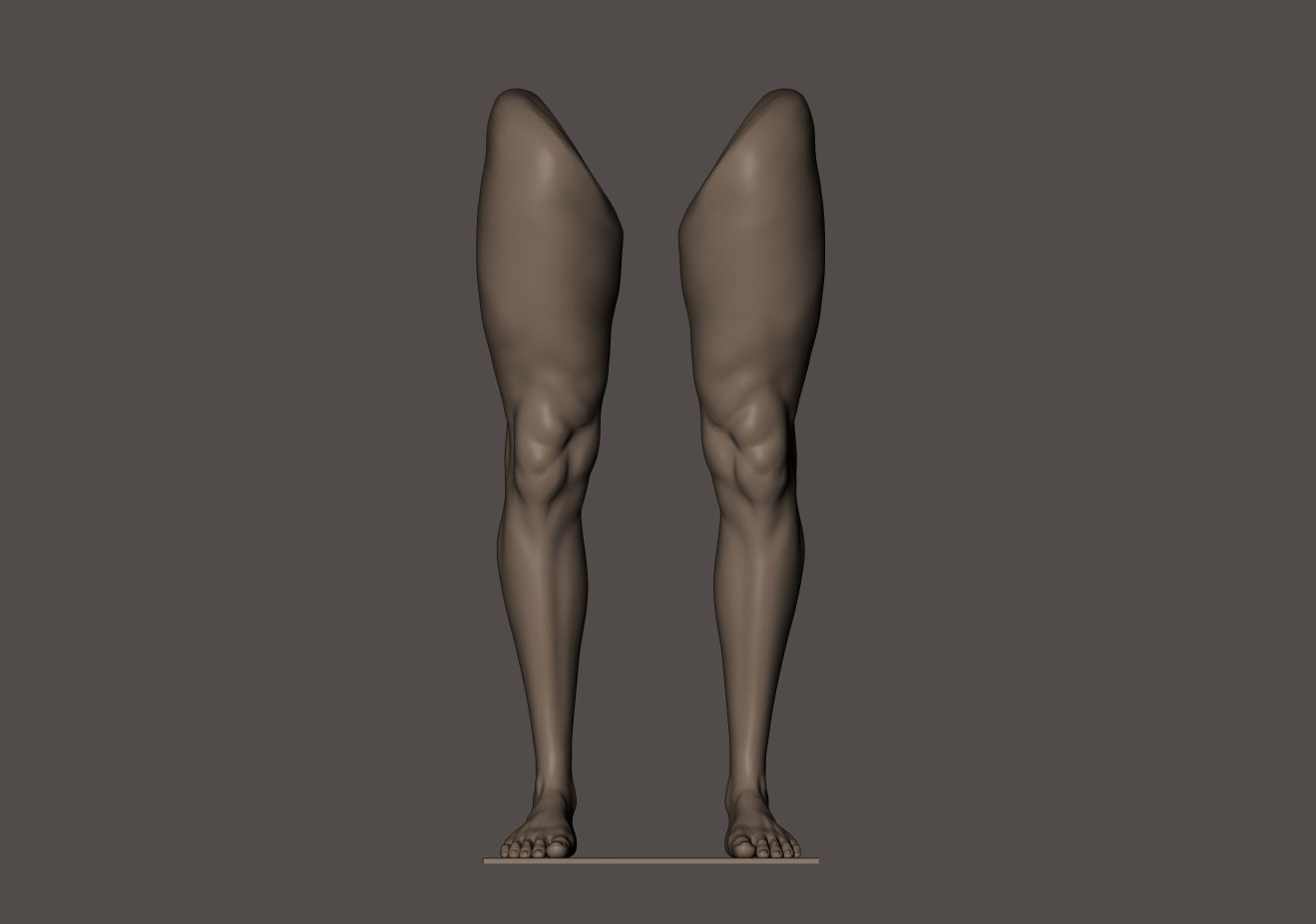 Foot and Leg anatomy 3D print model_15