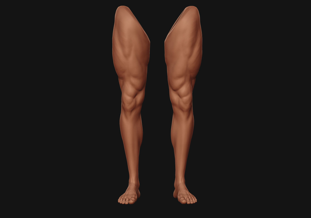 Foot and Leg anatomy 3D print model_8