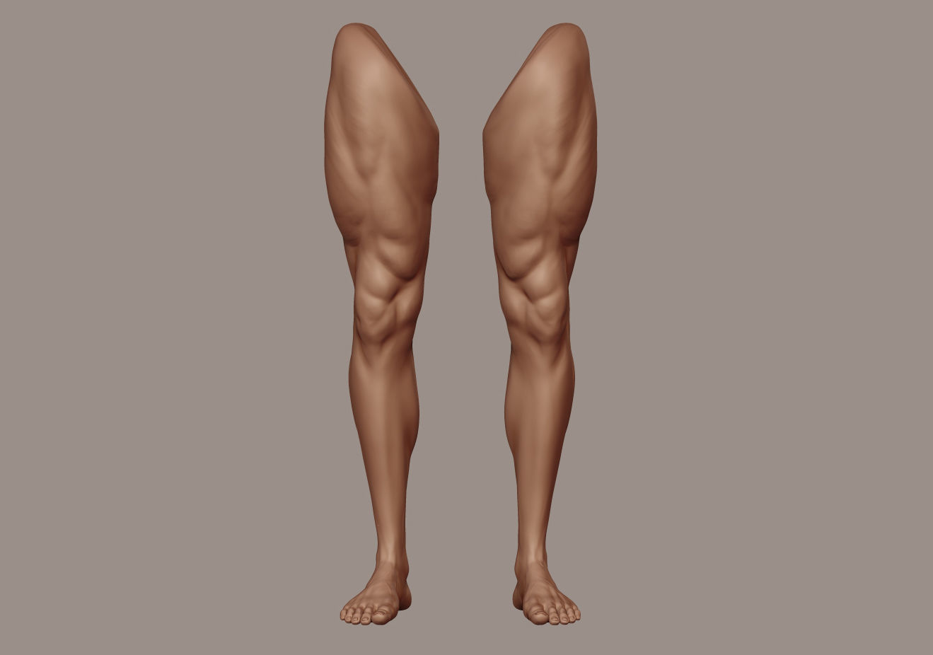 Foot and Leg anatomy 3D print model_22