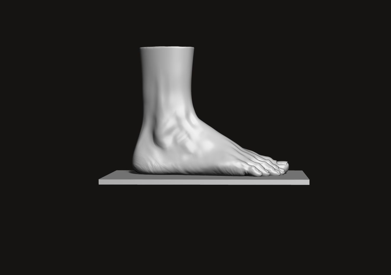 Foot and Leg anatomy 3D print model_5